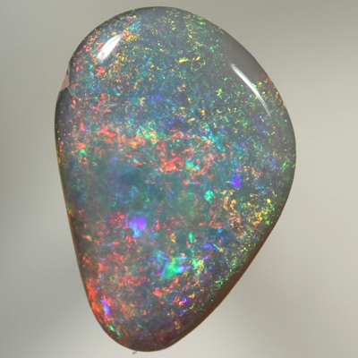 SOLID SEMI BLACK OPAL Bright Floral Harlequin pattern